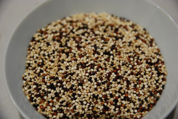 tricolour_quinoa