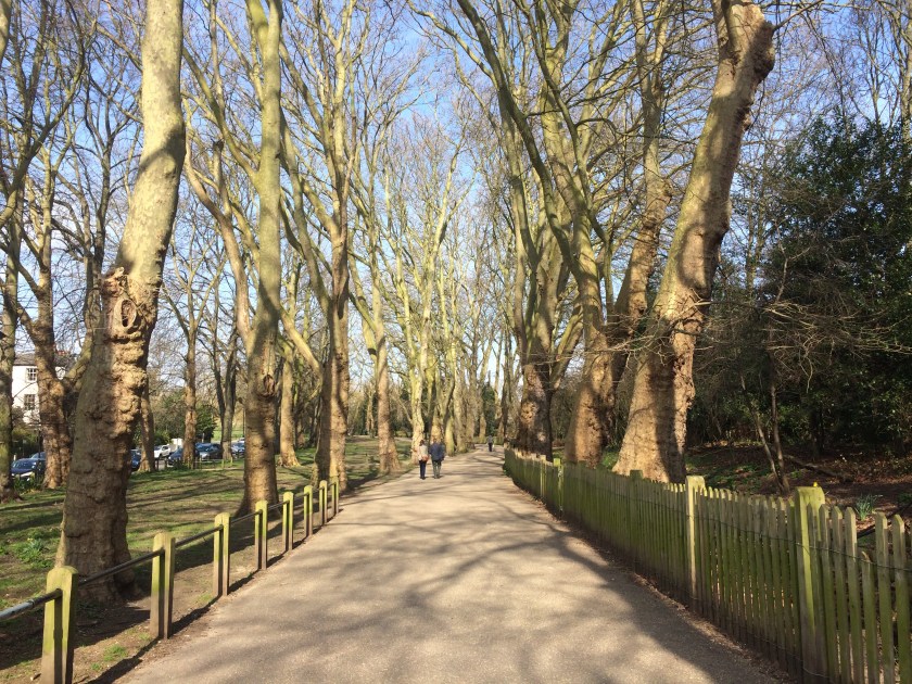Wandering into the Heath on a weekday morning